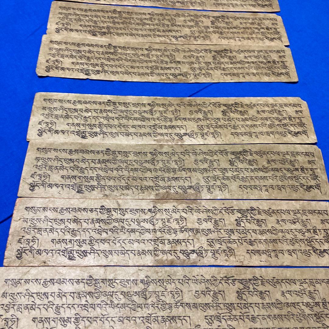 チベット語経典 手描きの仏像 9枚