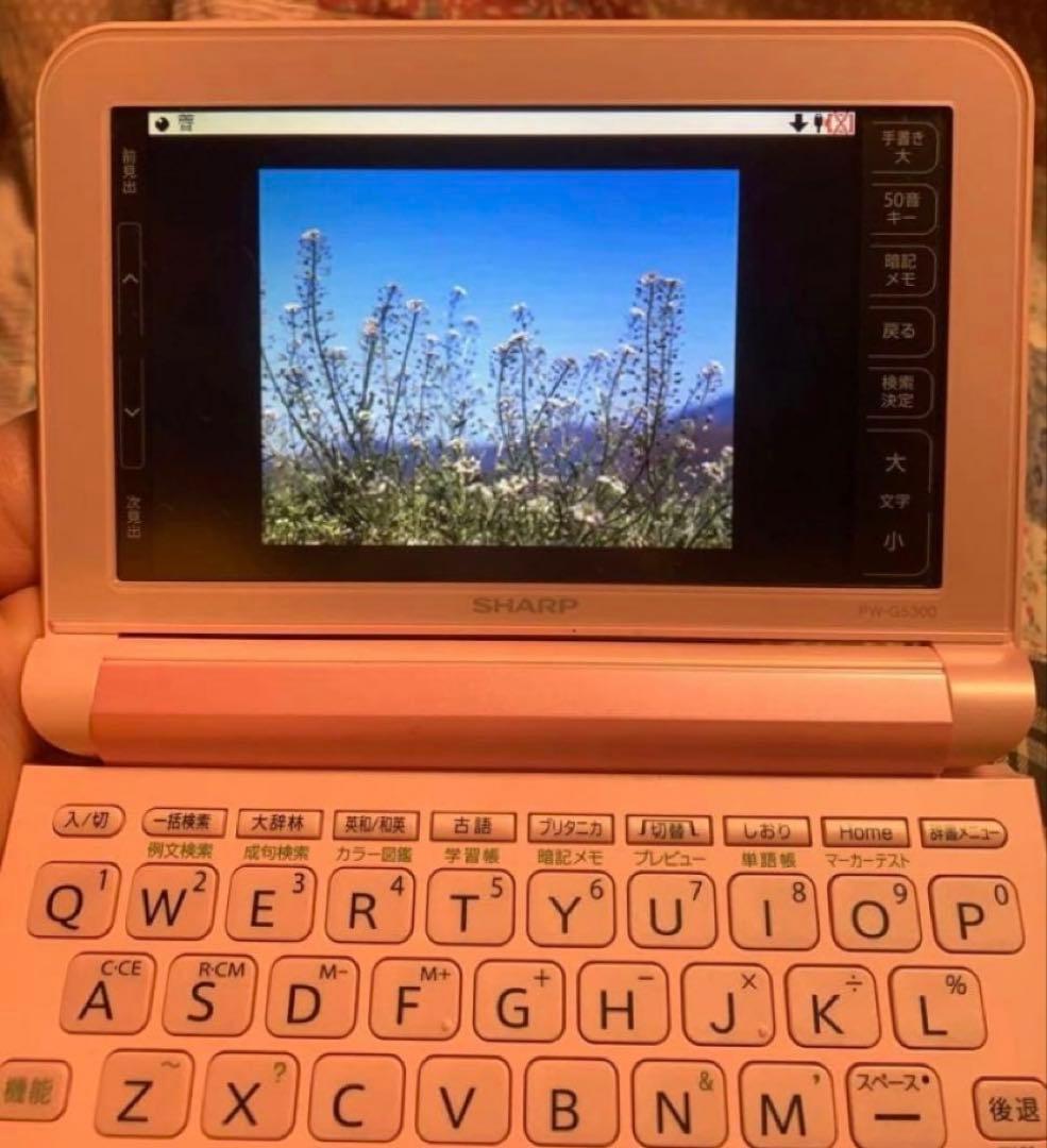 送料込み‼️ SHARP Brain ピンク 電子辞書 PW-G5300 ピンク - メルカリ