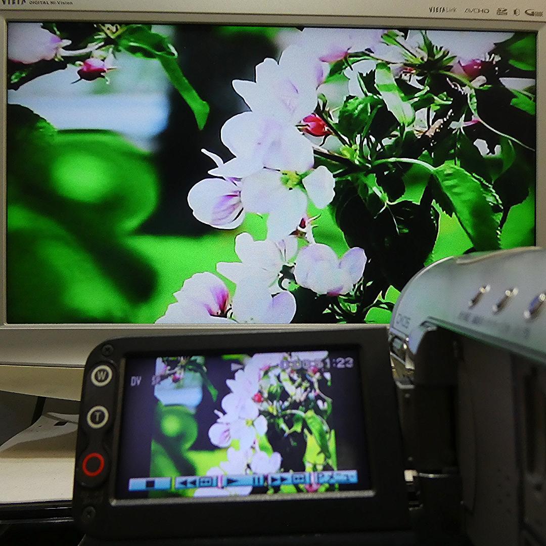 美品・動作品ソニー HDR-HC3 HDVビデオカメラ　DVDダビングに最適