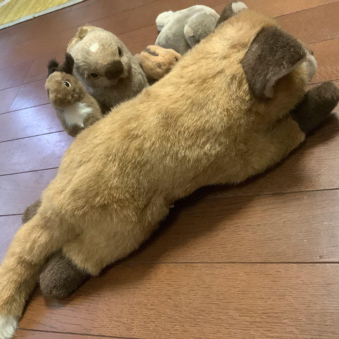 やまね工房　キツネ、エゾリス、モモンガ、やまね、野うさぎのぬいぐるみセット