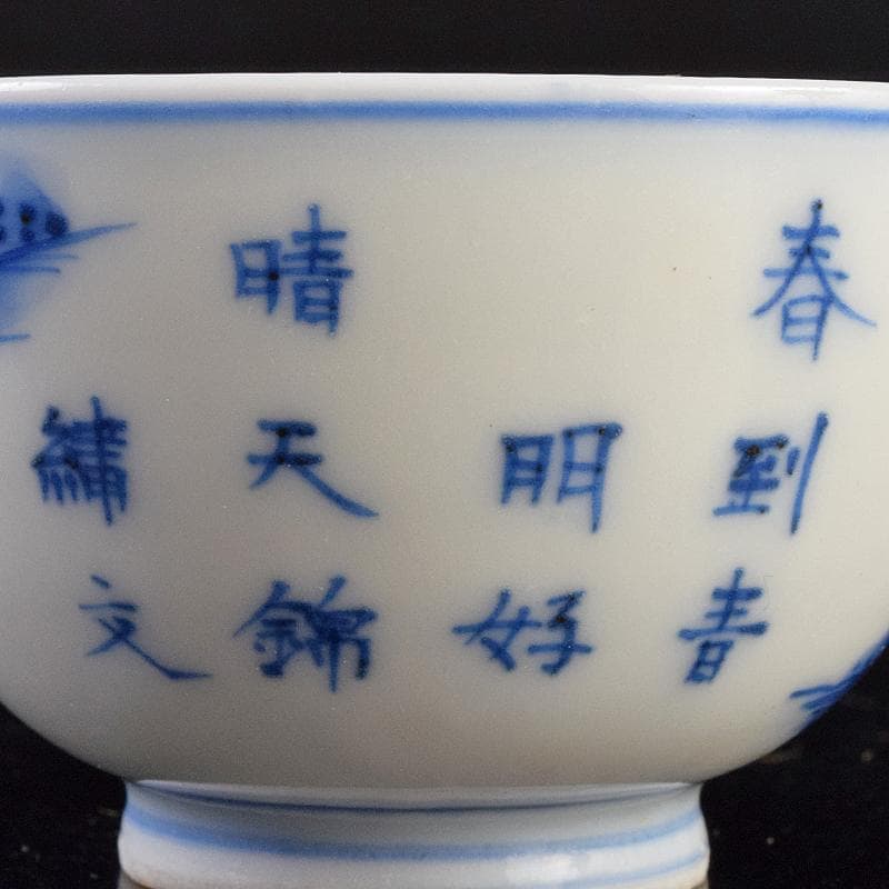 中国　青花　漢詩山水人物文　煎茶碗　時代箱付　V　R9489