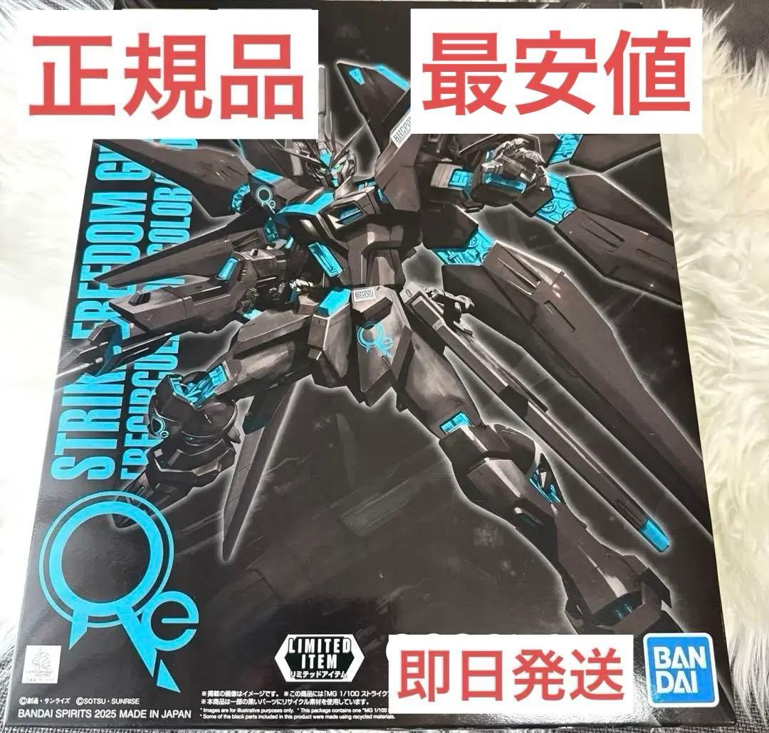 MG 1/100 ストライクフリーダムガンダム BHCPDII限定+おまけつき
