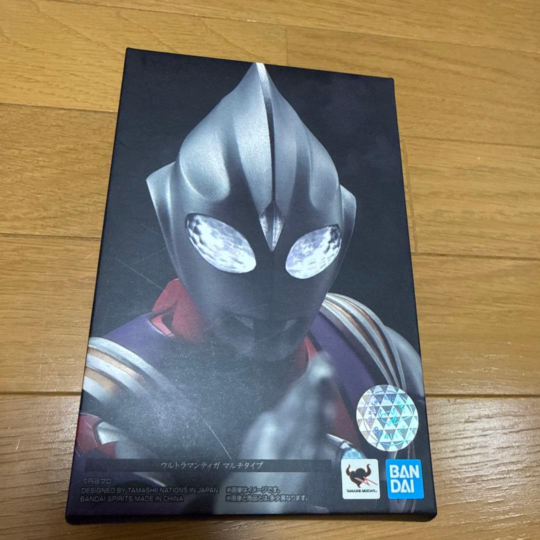 S.H.Figuarts (真骨彫製法) ウルトラマンティガ　イーヴィルティガ