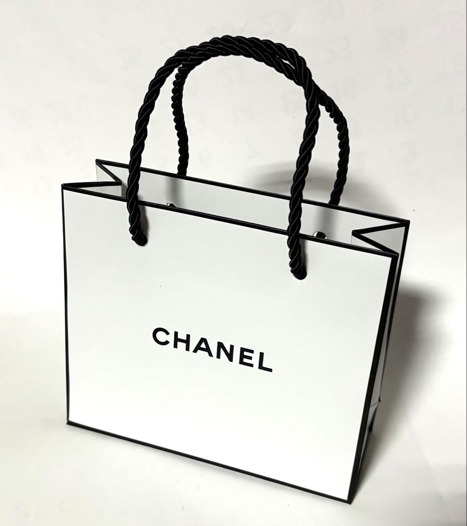 CHANELシャネル☆ケース クロコダイル☆保管ケース&ミニショッパー
