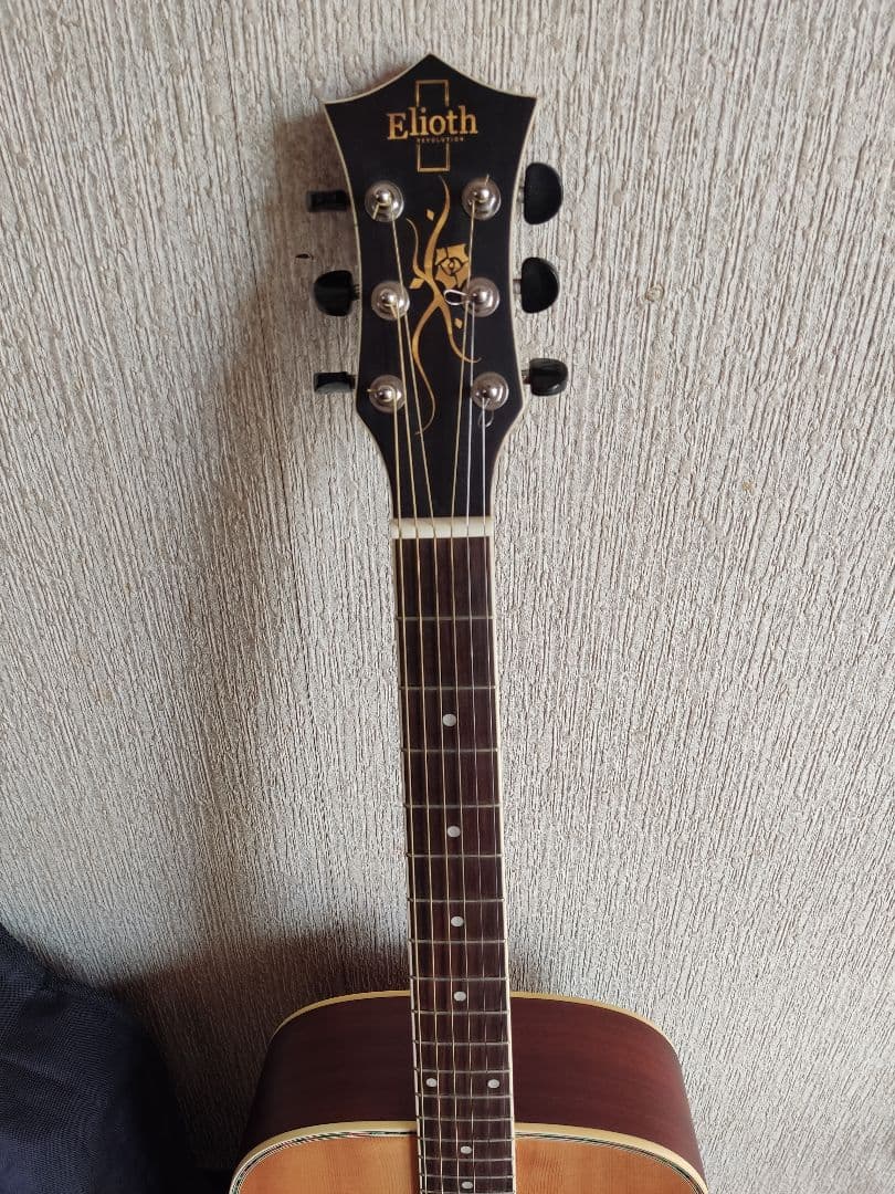 Elioth 「B305 NS」(改)エレアコ - ギターオンライン アウトレット