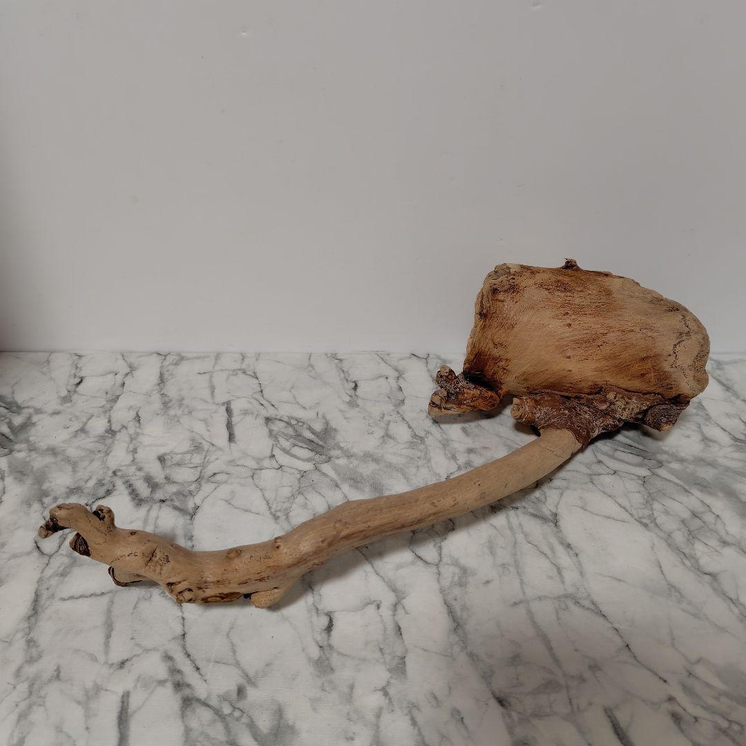 アク抜き済み流木【814】セール