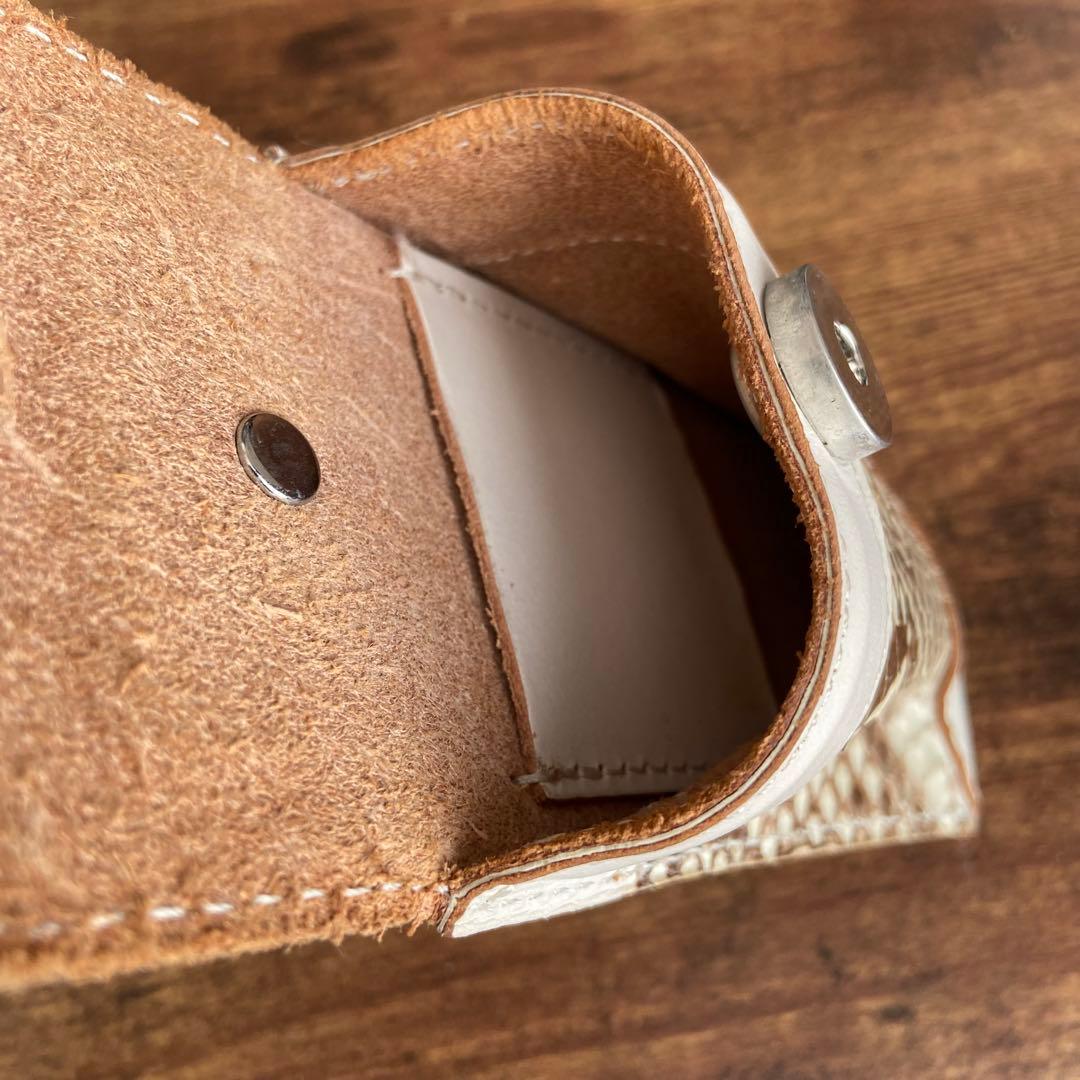 ブルズスター　ダーツケース　蛇皮