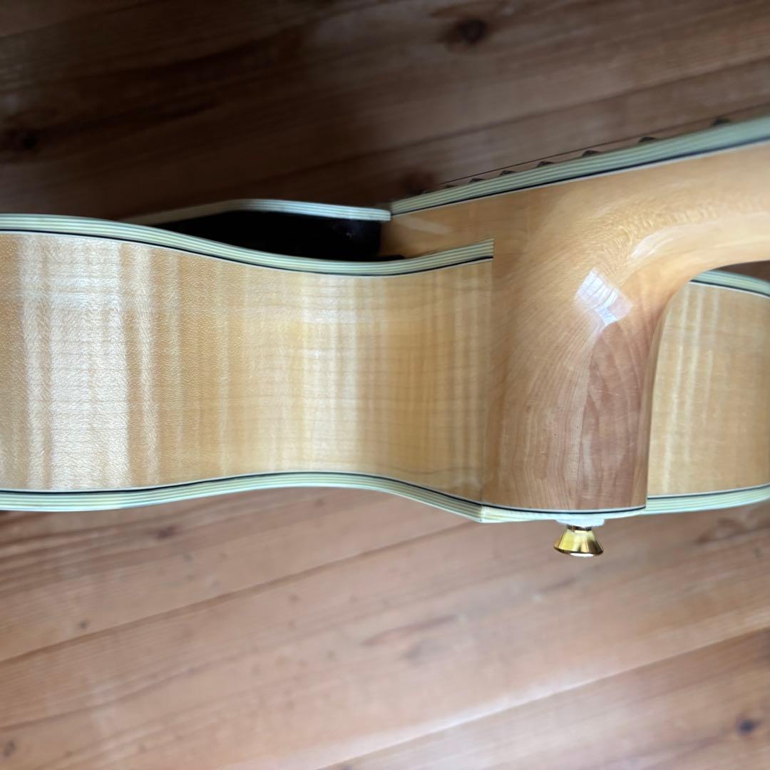 2019年製 Eastman AR810CE