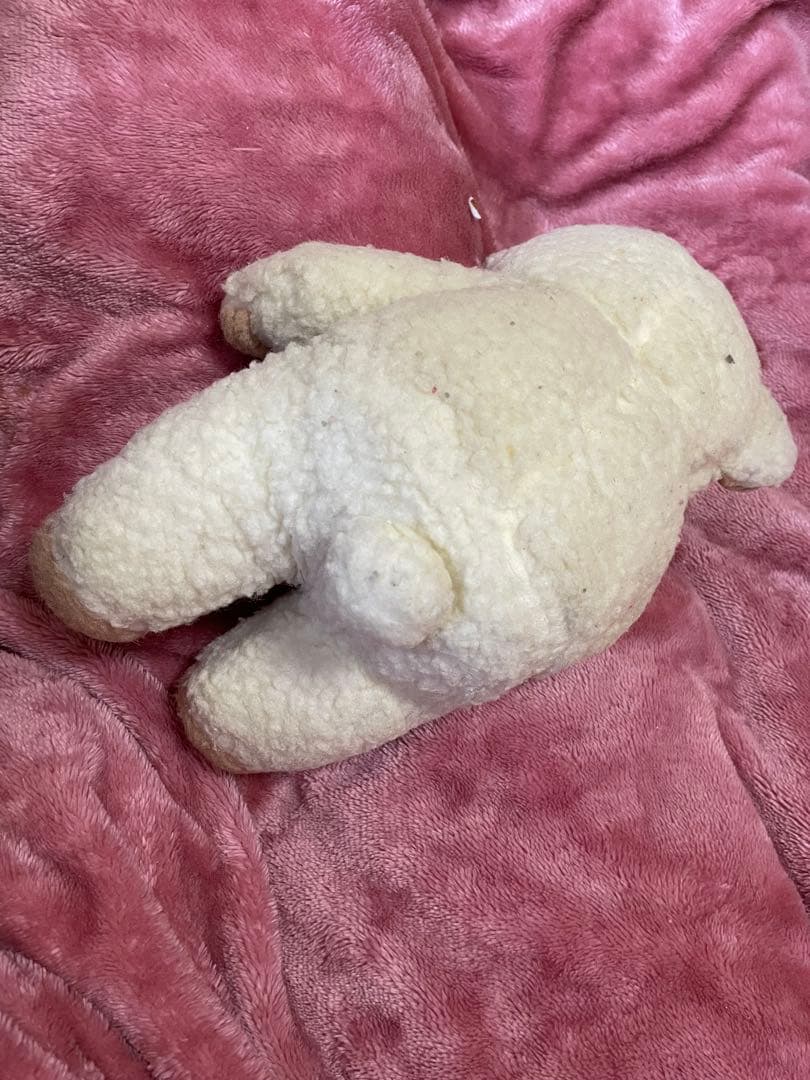 ぬいぐるみ 人形 まとめ売り ポケモン ドナルド キャベツ人形 ウナギイヌ 等