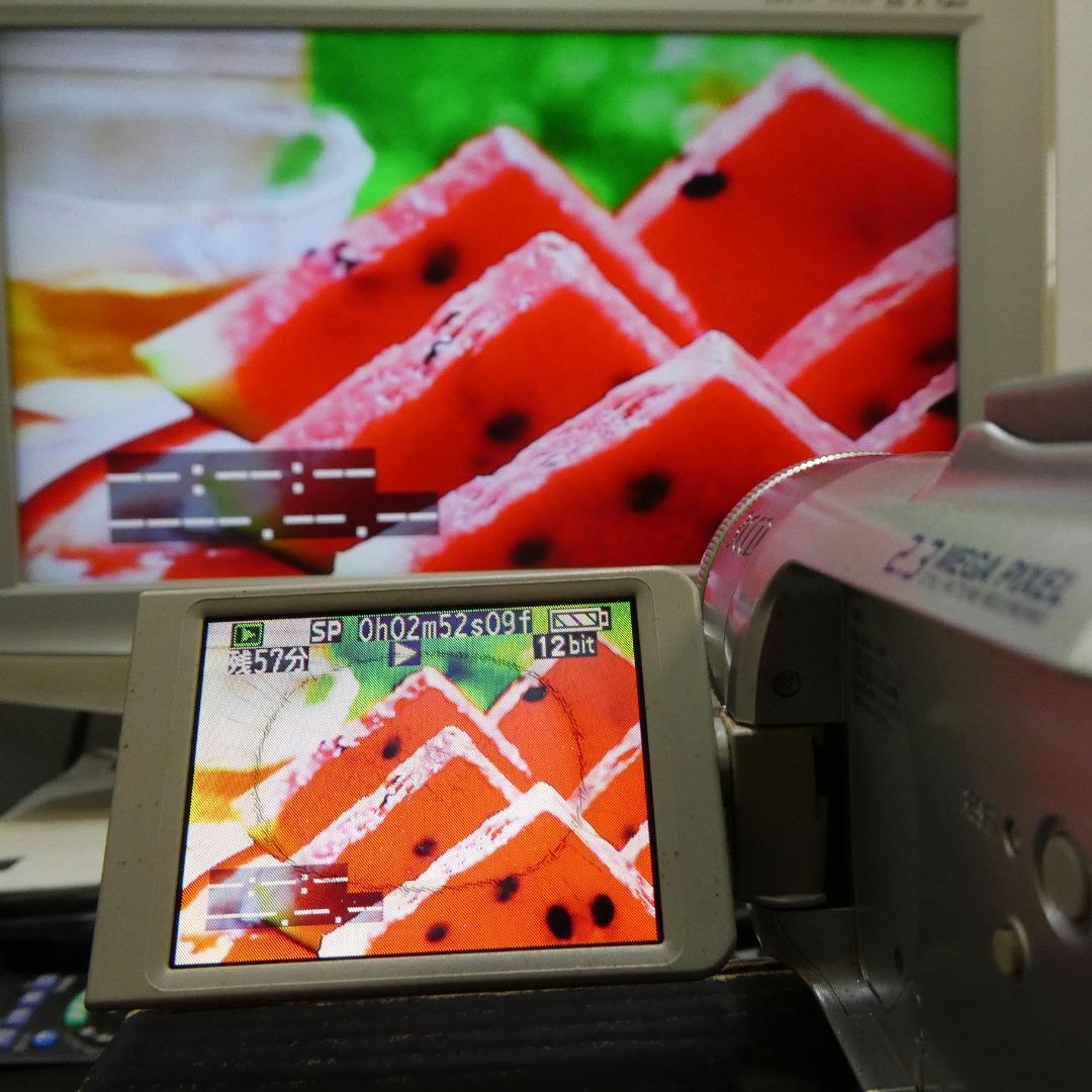 動作良好 パナソニック NV-GS150 MiniDVビデオカメラDVD化に最適