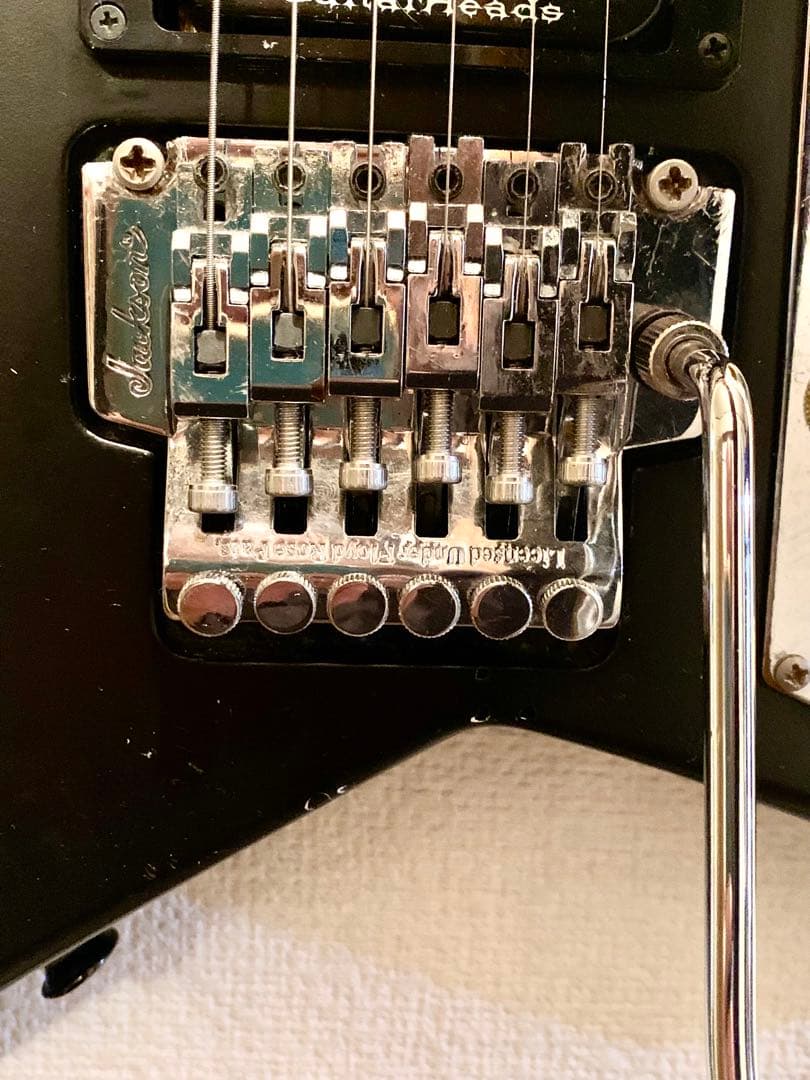 ランディローズ V型エレキギター