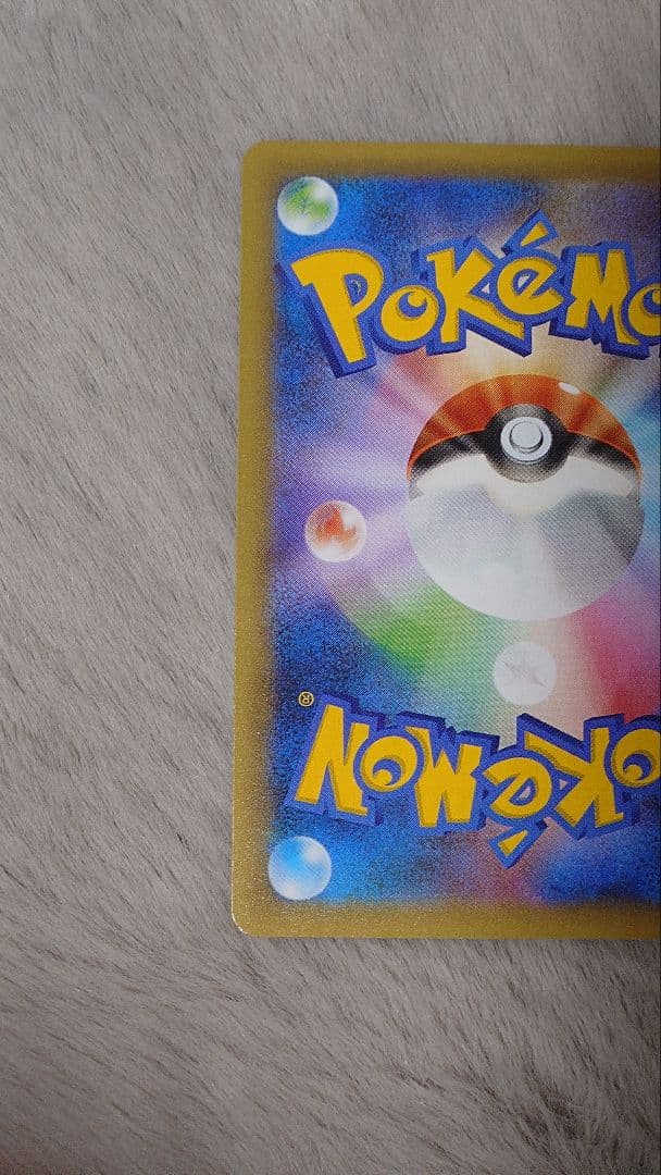 ぬ*ま様 リザードン ガブリアス　25周年