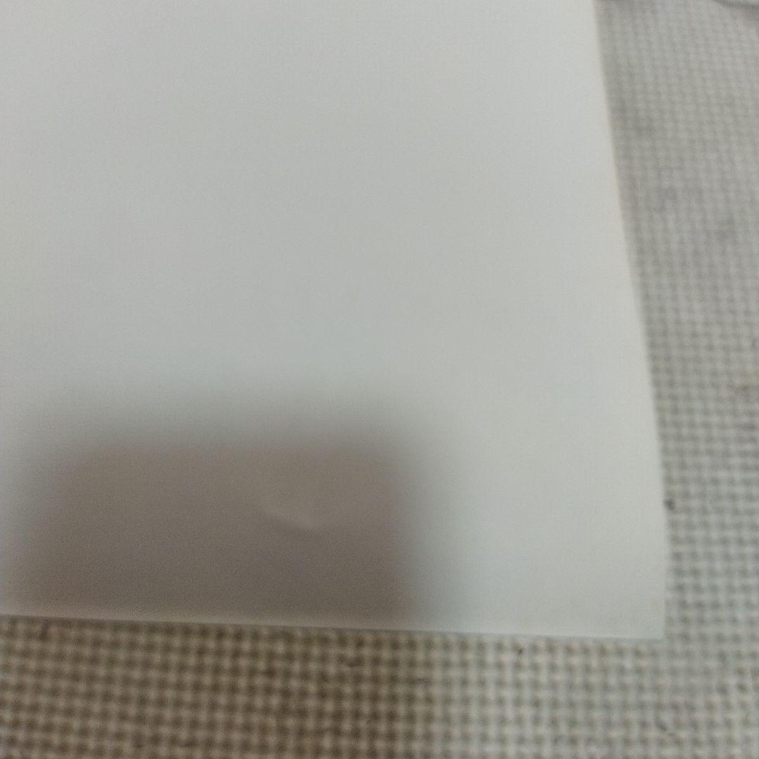 資生堂　メアリー岩本　マリアン　ポスター