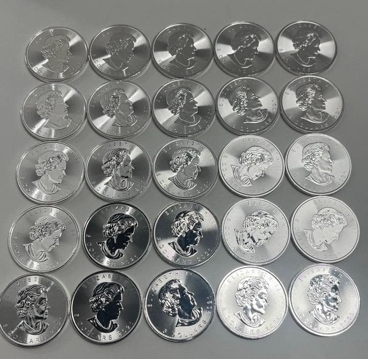 カナダ メイプルリーフ 銀貨 2021年 25枚