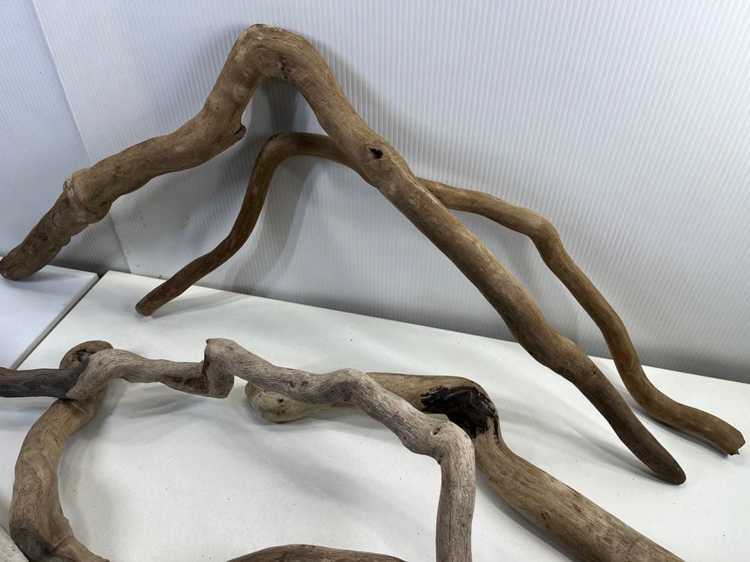 F5アク抜き済み流木セット 爬虫類シェルター 登り木 インテリア 生け花