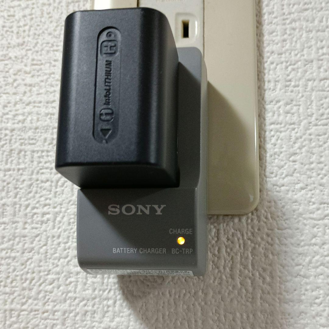 SONY ハンディカム DCR-SR300 デジタルビデオカメラ