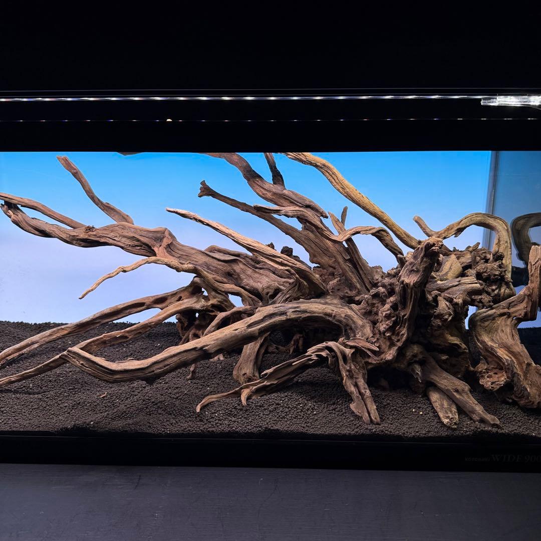 MSRW-7080 天然流木レイアウトセット スリムウッド アクアリウム