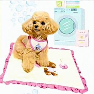 D Laundry Bearフリルタンク＆マット セット circusサーカス