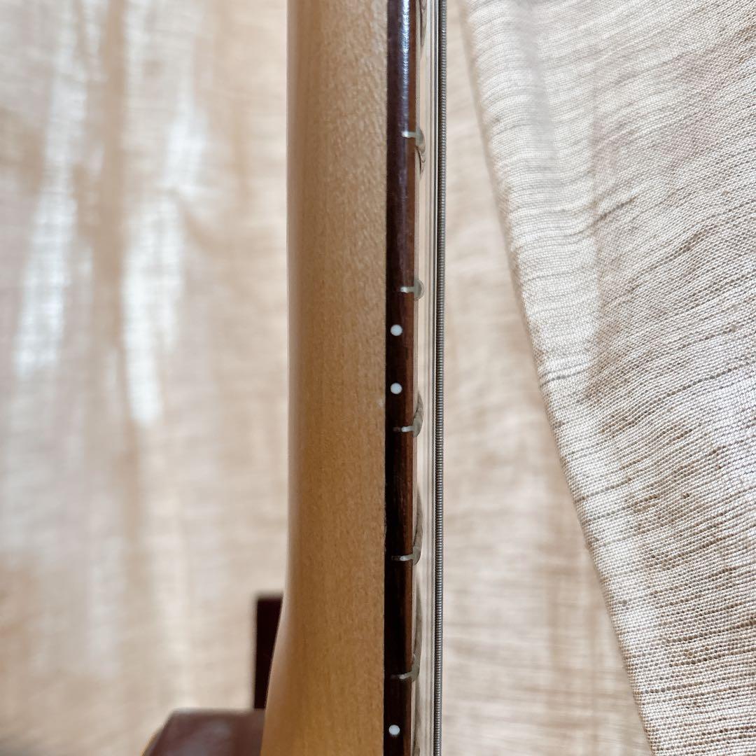 FERNANDES FA-10 エレキギター アーム付 説明書・ストラップ付 ホビー