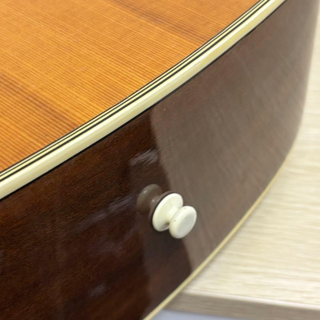 Mavis エレアコ godin風 テレシェイプ まるでフルアコのようなエレアコ