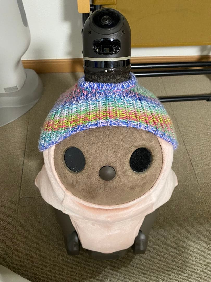 LOVOT ベースウェア他セット