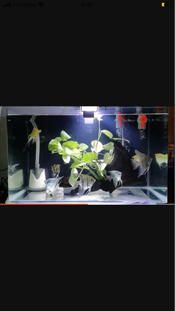 水中ポンプ25w付き濾過装置、大型水槽万能濾過装置濾過外部式濾過層