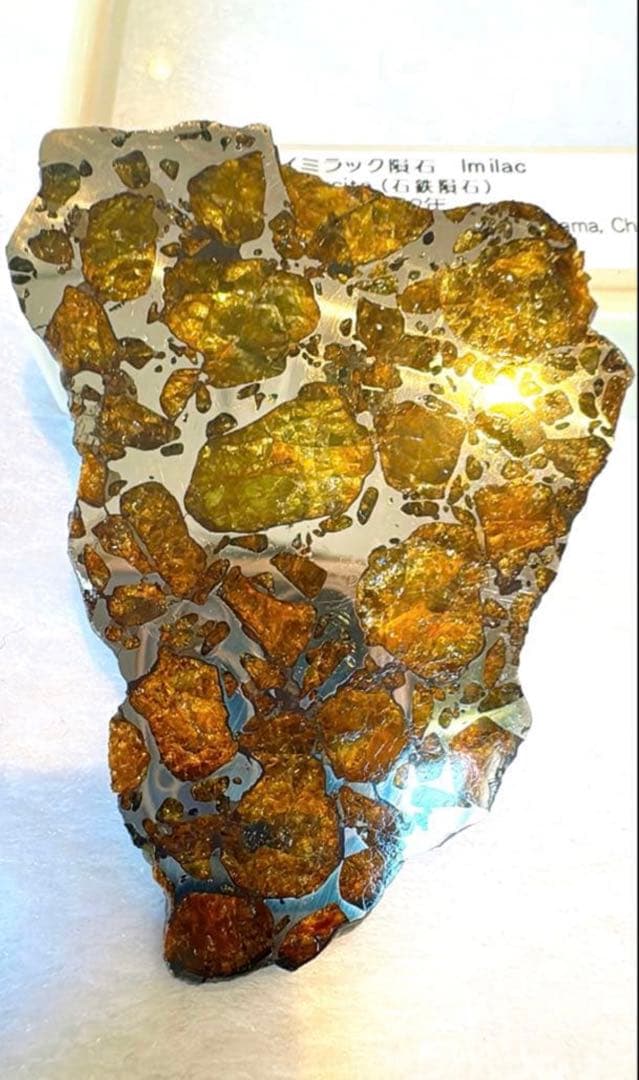 存在感が段違い】28.0g イミラックパラサイト隕石標本（東京サイエンス