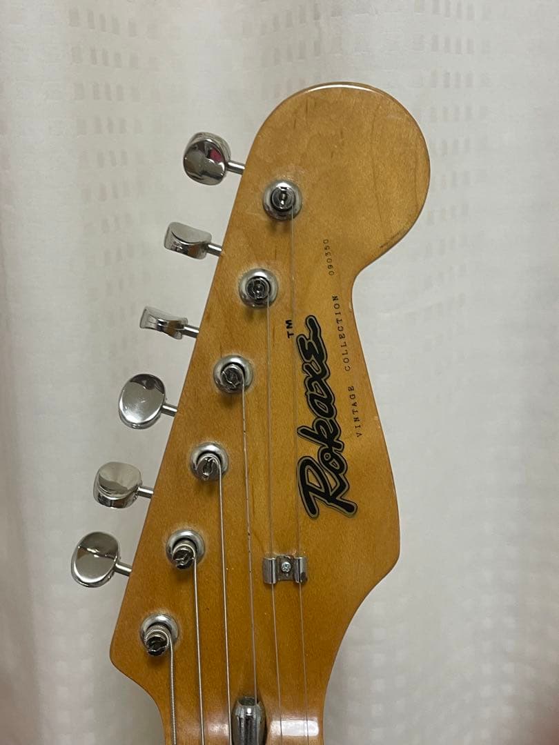 Rokaxs ストラトキャスター タイプ sugizo skin