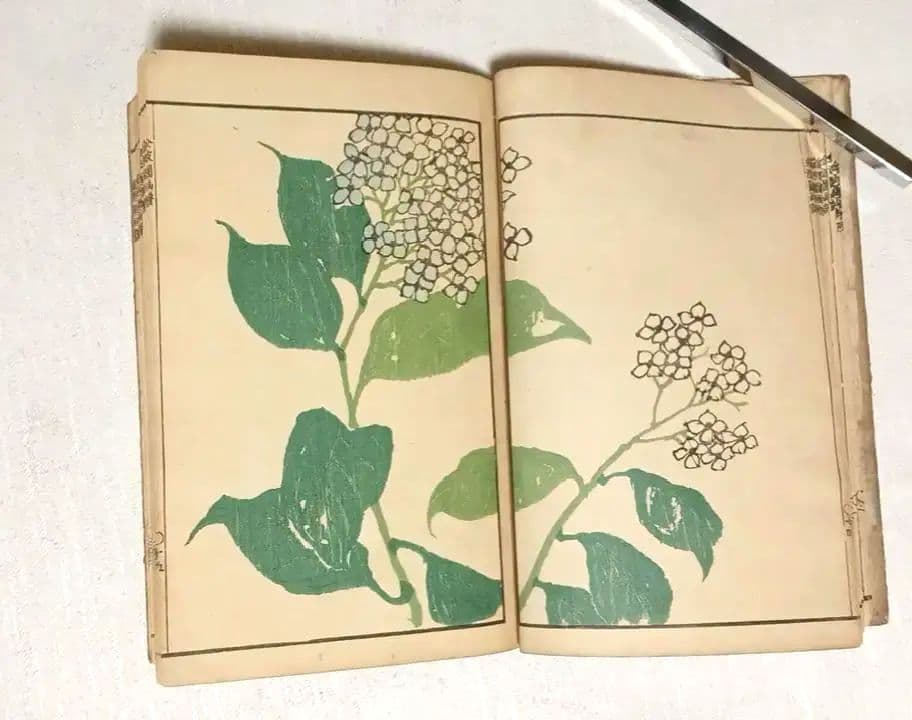 金波園画譜No.2（色刷り木版画本) 河村文鳳画、文化8年出版 - メルカリ