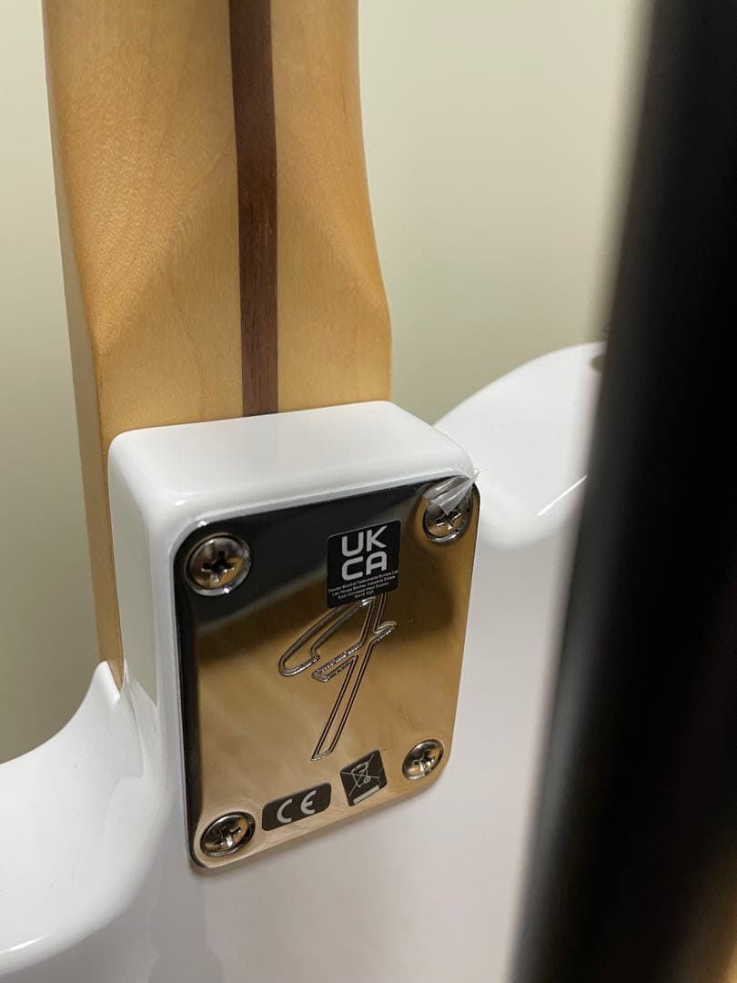 【すみか】Fender Player series テレキャスター