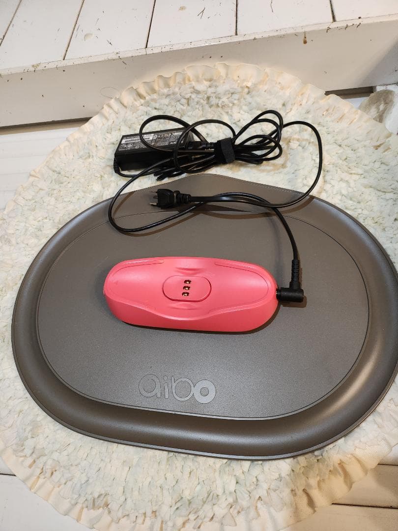 ソニーAIBO ERS-1000