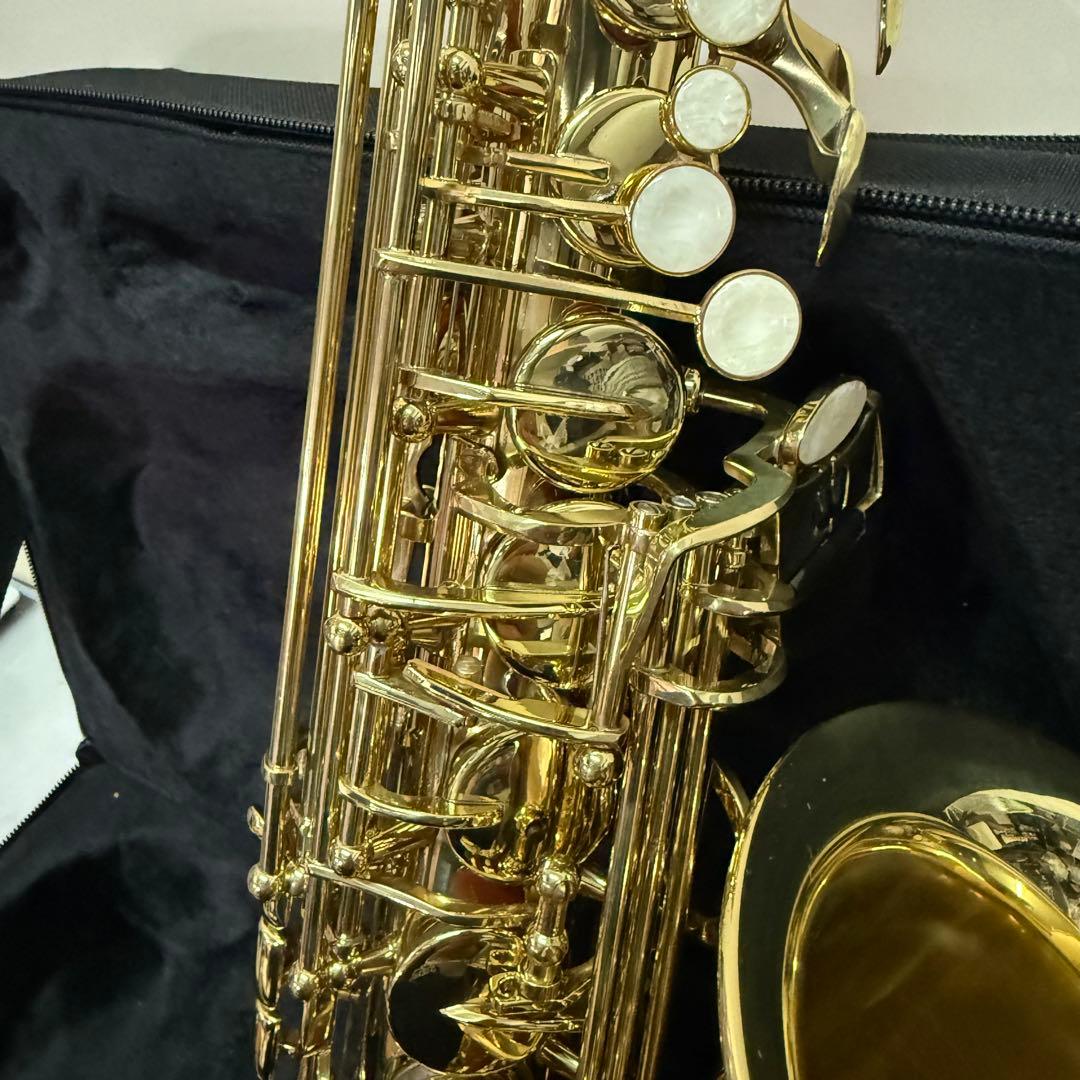 ケルントナー　アルトサックス　ケース付き