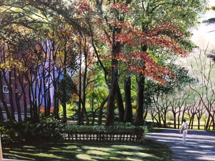 自作画　北海道大学キャンパス　油絵