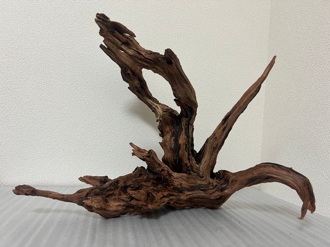 HX-079 流木 ホーンウッド マシンガンウッド アクアリウム ブランチウッド