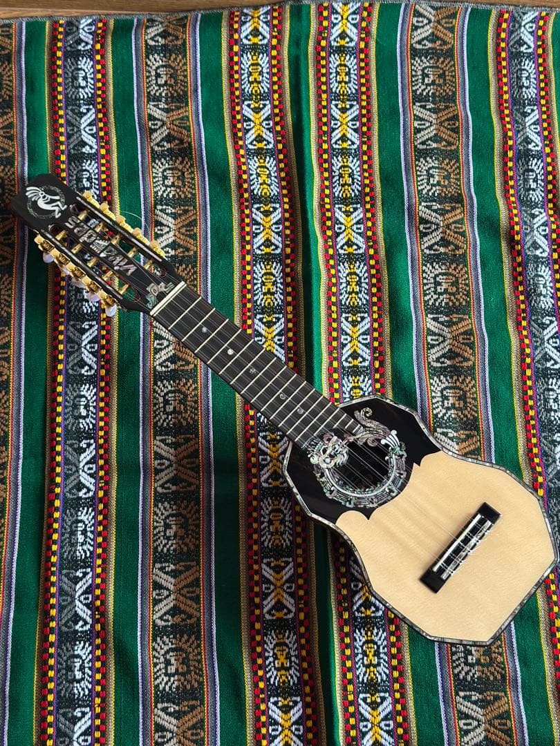 チャランゴ フォルクローレ ケース付 charango ケーナ サンポーニャ