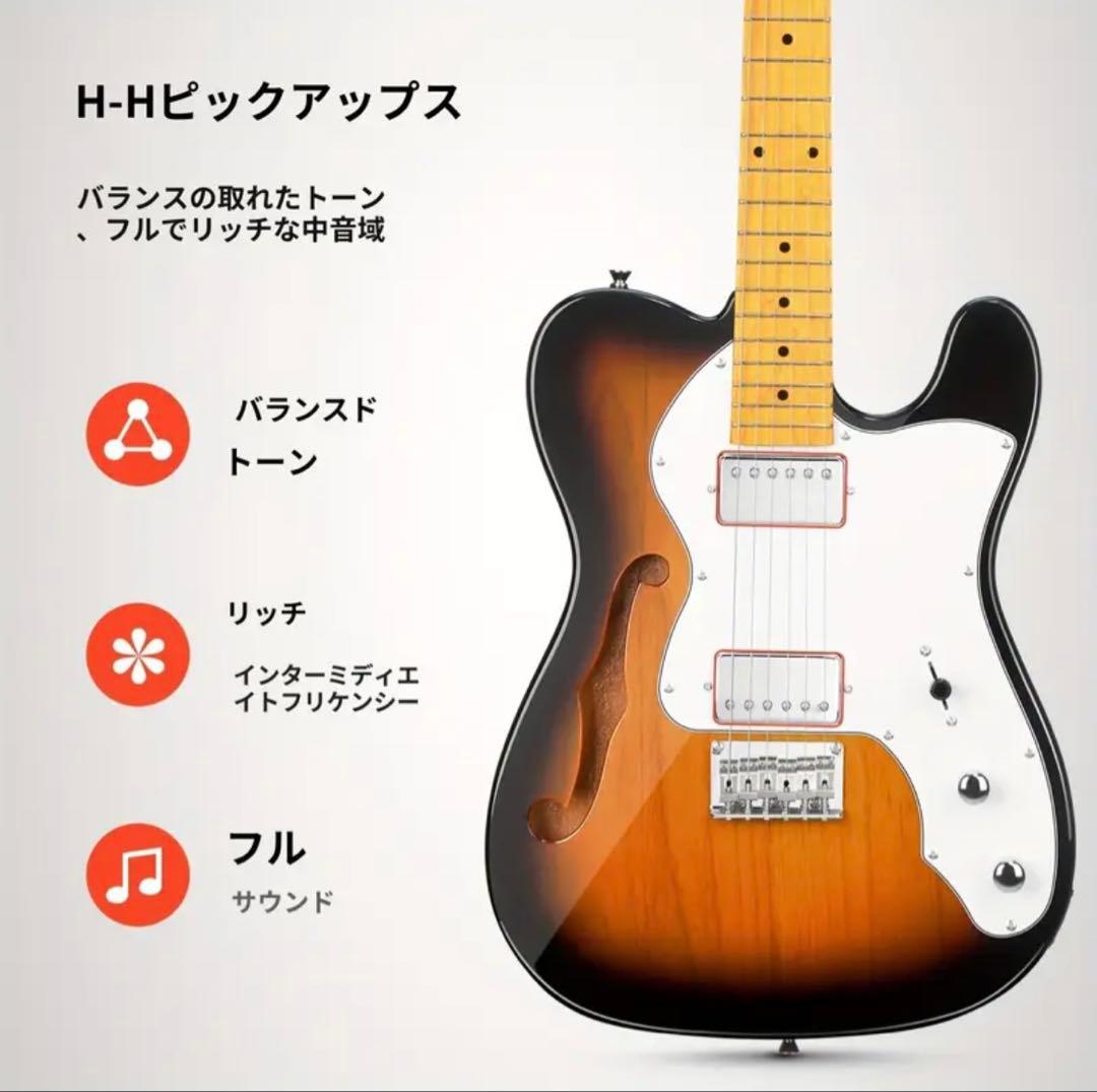 Donner エレキギター シンライン テレキャスター DJC-1000S