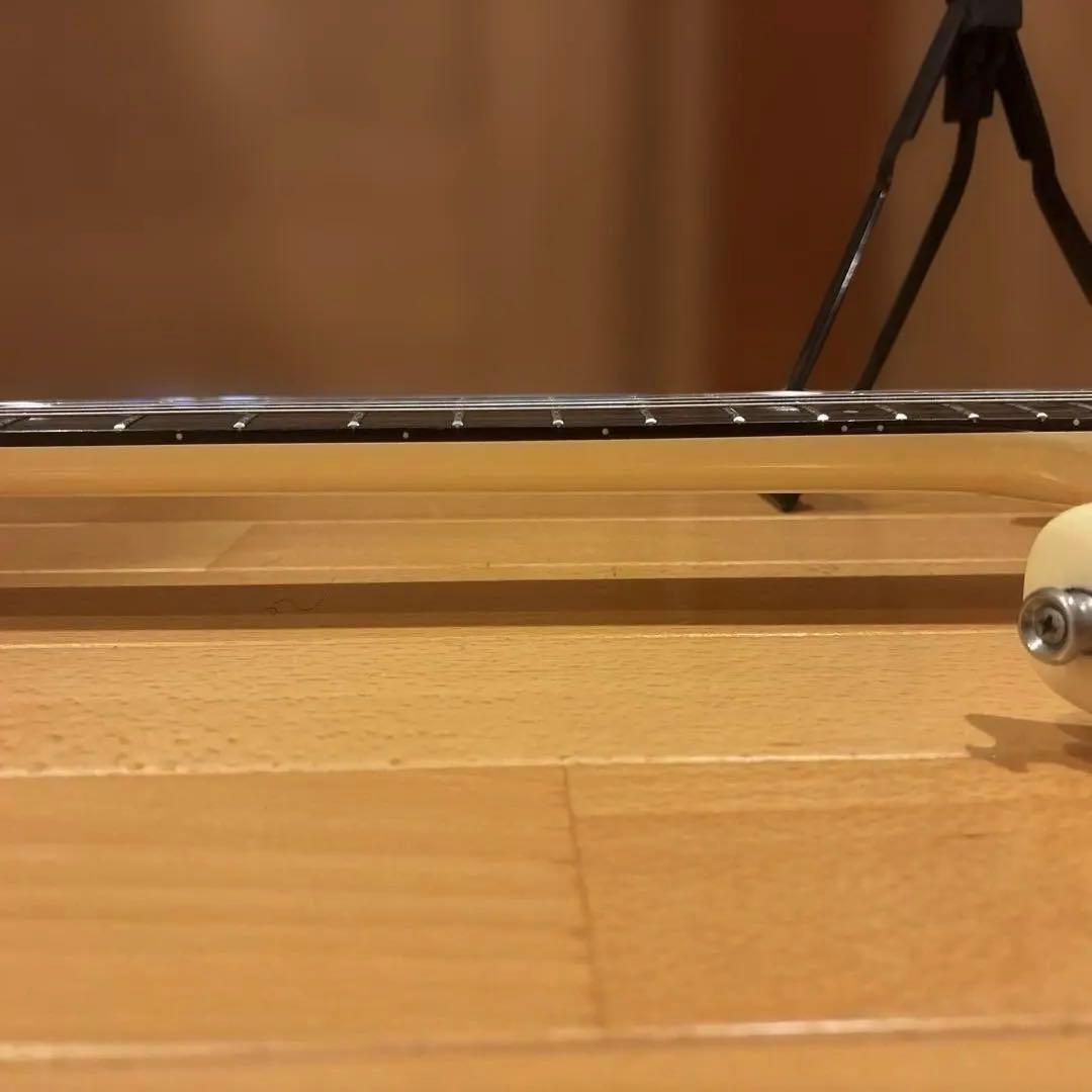 Kenさん専用】Aria Pro II RS Wildcat アーム付 新品弦