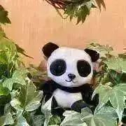 原神 嘉明 おみくじ まとめ売り② - メルカリ