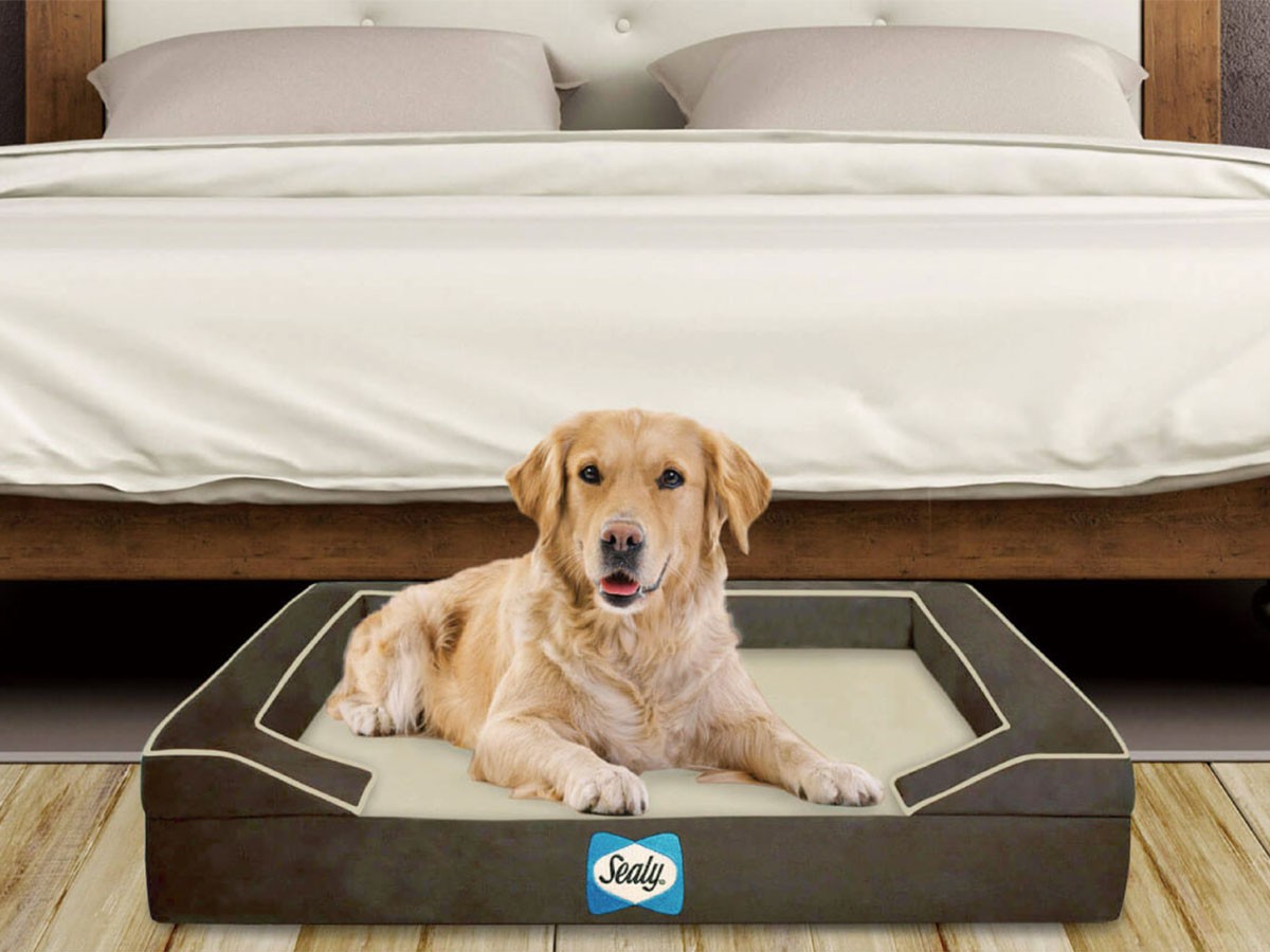 Sealy Sealy Dog Bed Lux Premium / シーリー シーリー ドッグベッド