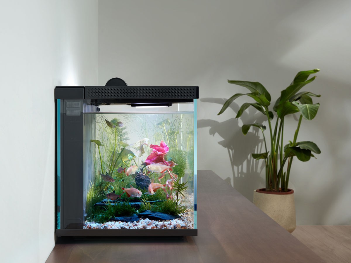Biorium Biorium Smart Aquarium / ビオリウム ビオリウム スマート