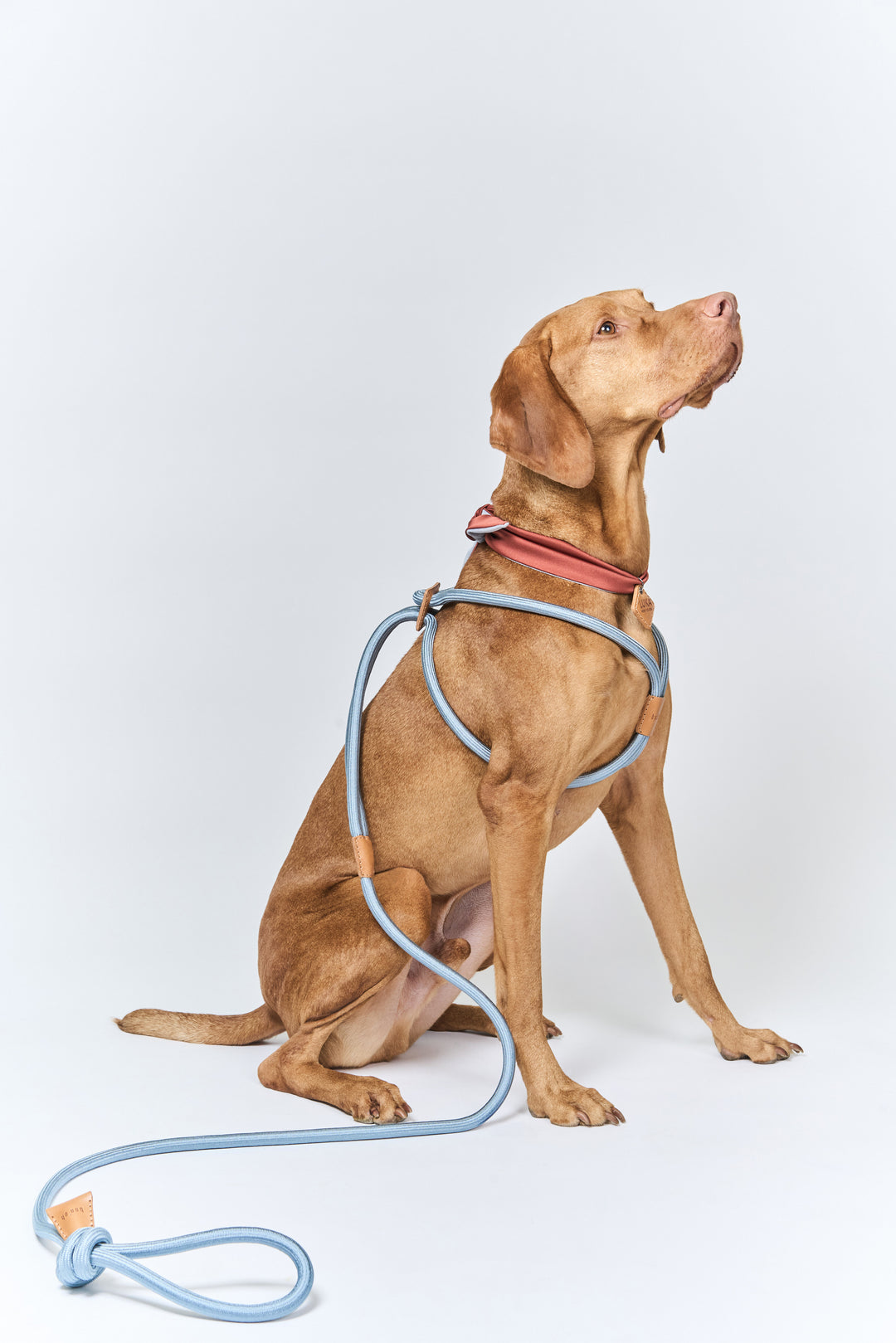 boo'oh レイハーネス キャメル boo' oh Ray Harness, Camel Brown