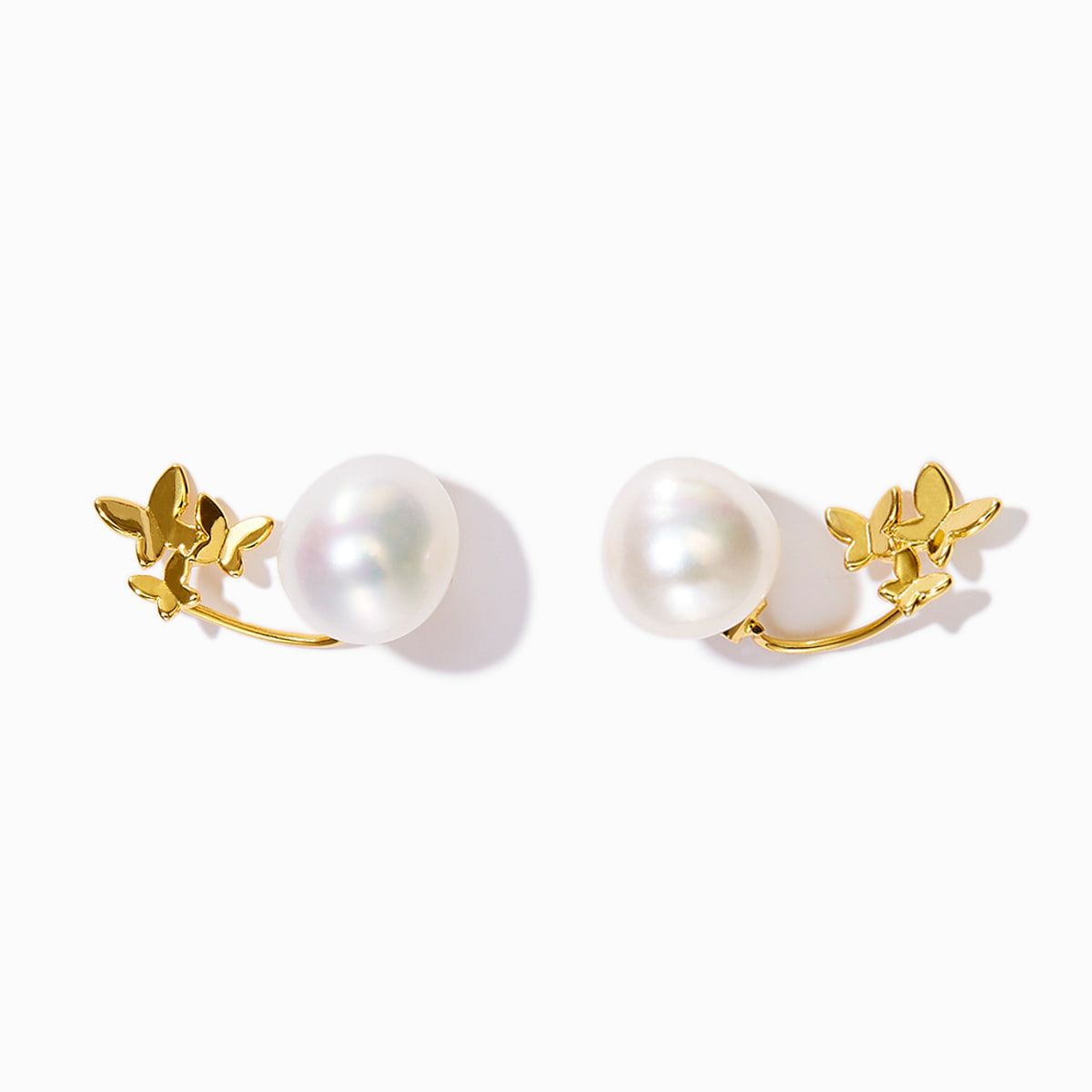 000000007695-01-m.jpg?t=