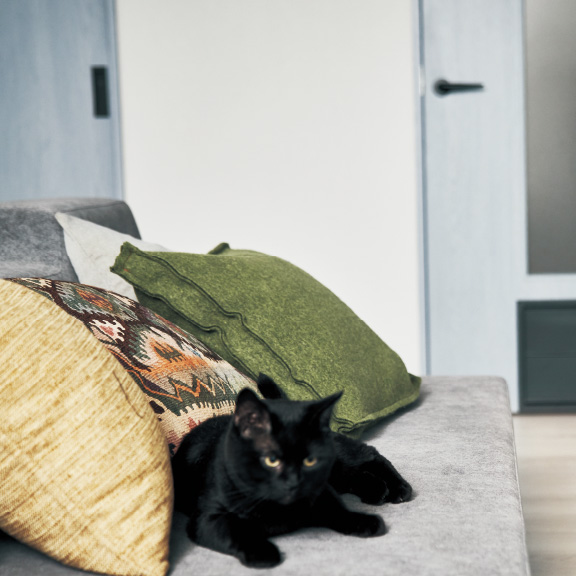 わんにゃんSmile建材 | Panasonic