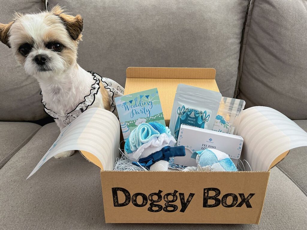 ワンちゃんのためのワクワク定期便「Doggy Box ( ドギーボックス
