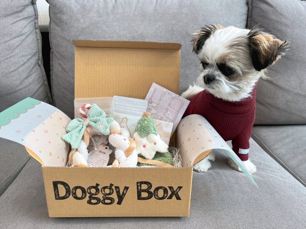 ワンちゃんのためのワクワク定期便「Doggy Box ( ドギーボックス