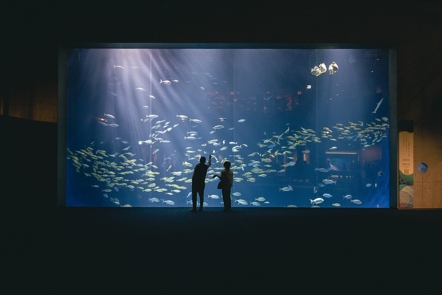 四国水族馆的概要与文章列表(香川县绫歌郡宇多津町滨一番丁4)| Japan