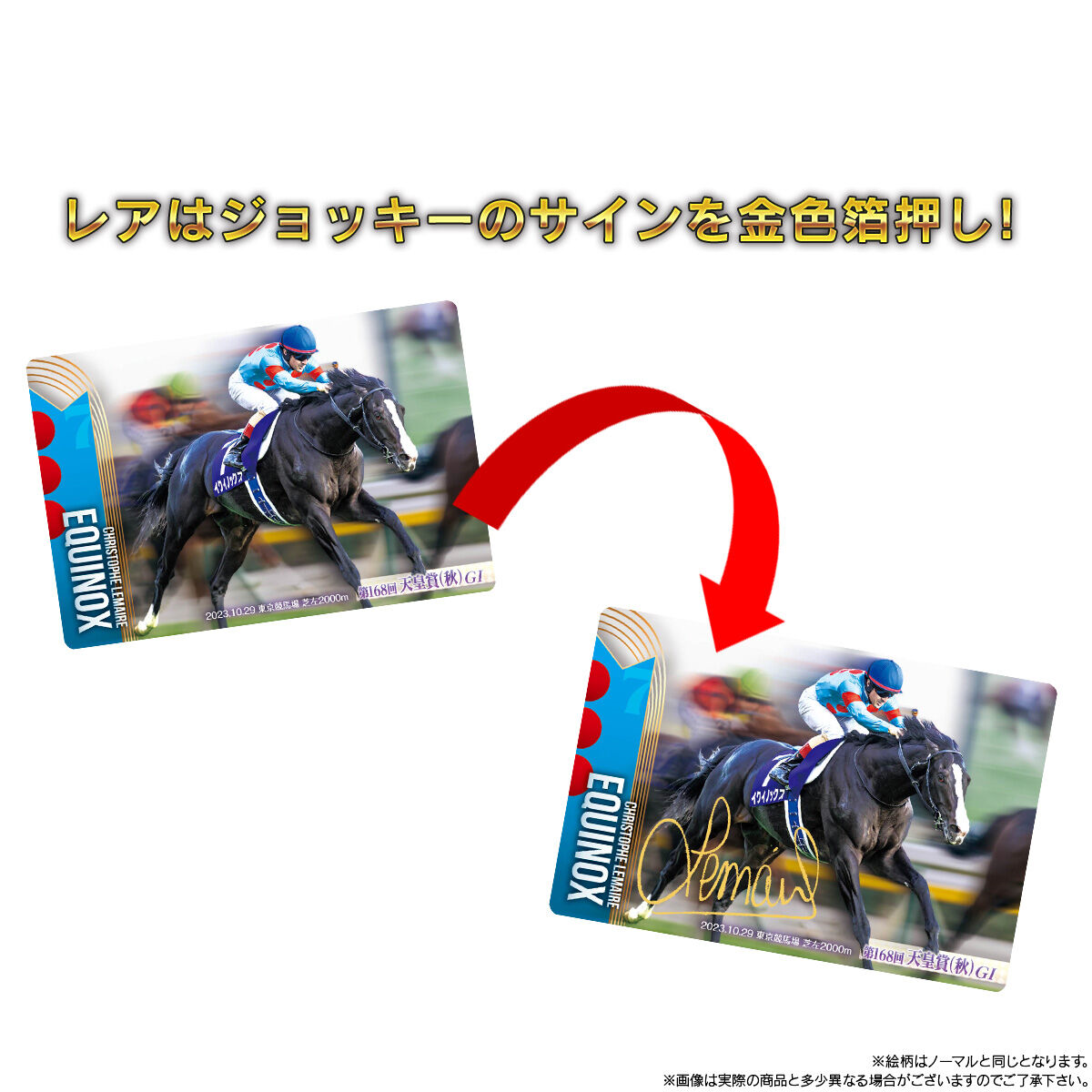 サイン入り全30種30枚 コンプリートセット サラブレッドホース