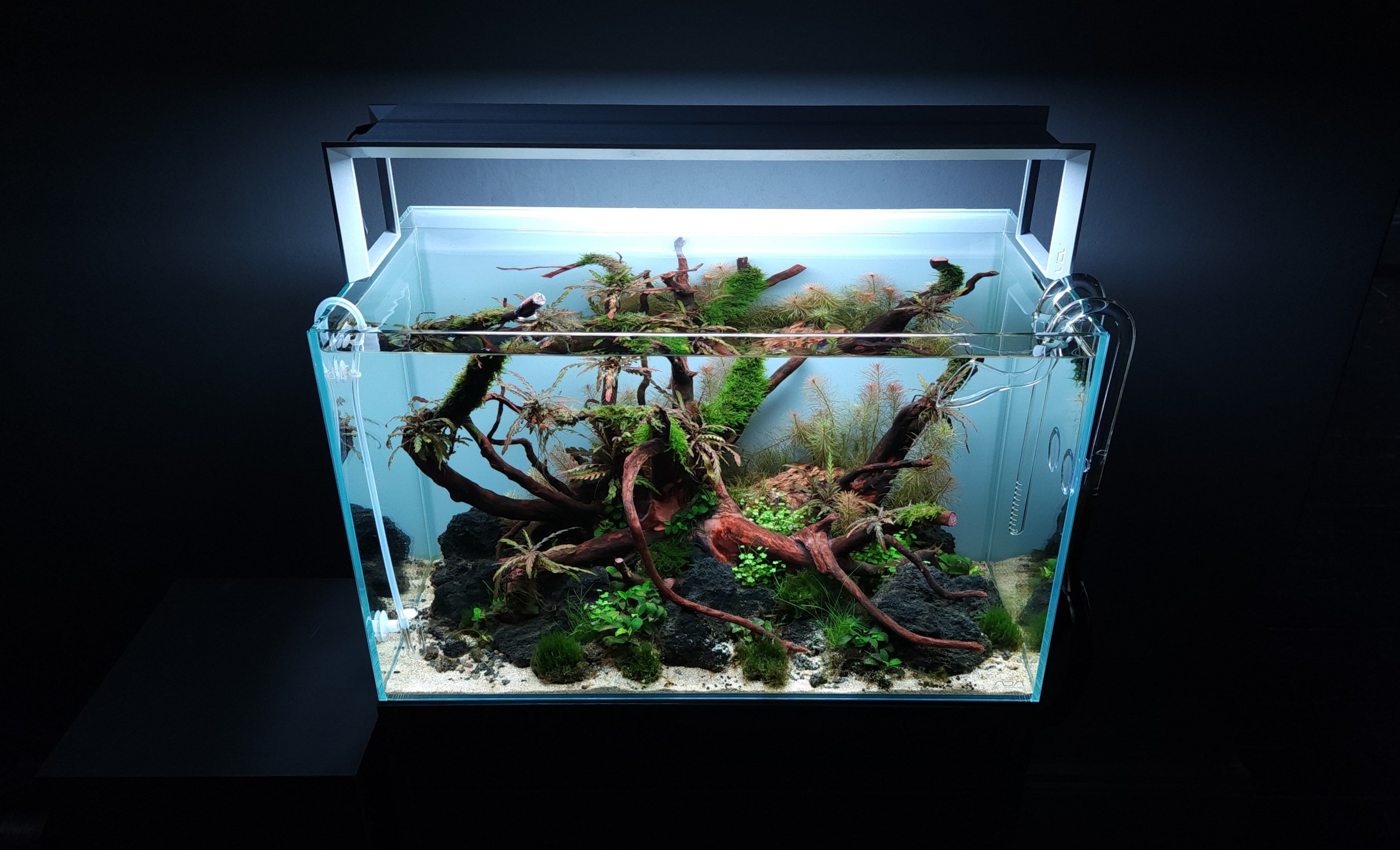 ADA 60*45*45ワイド水槽