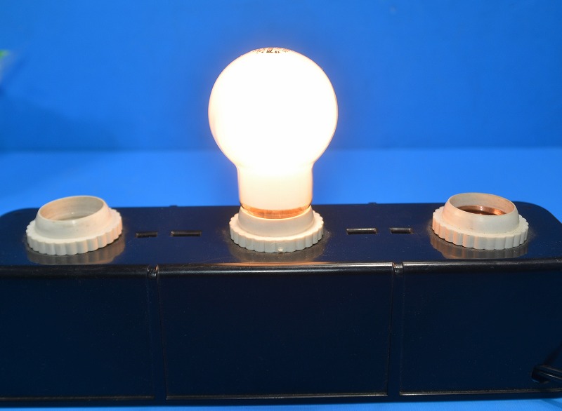 通販 | パナソニック LW100V36WL E26 長寿命シリカ電球 一般球（305