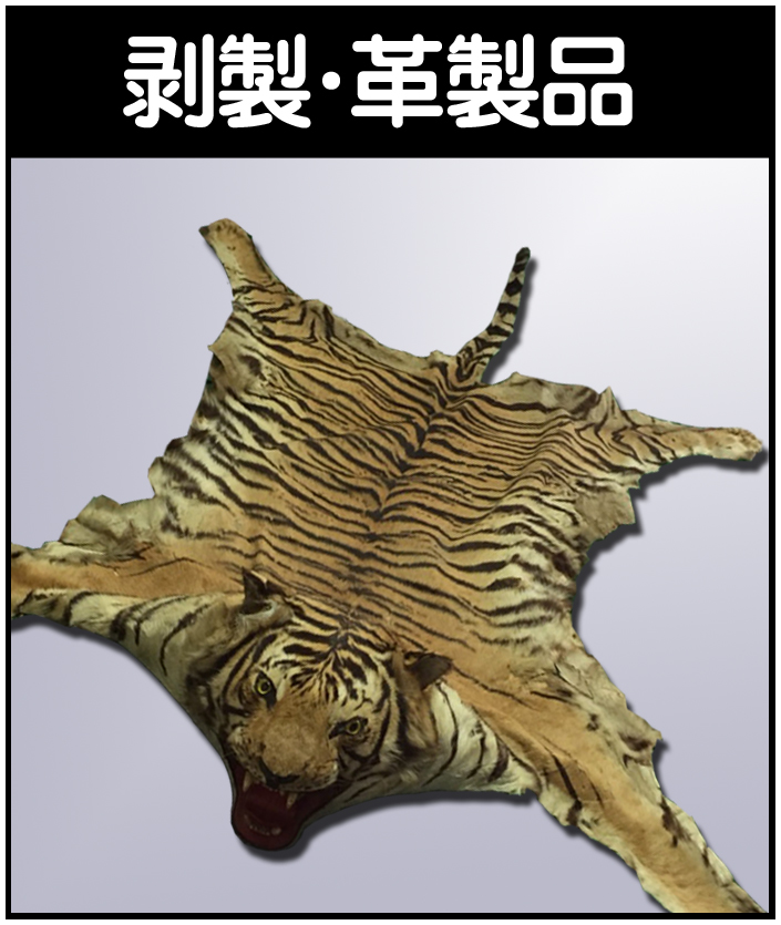 掛け軸 白雲 達磨大師 絹本 希少 軸装 茶道具 掛軸 です。 掛け軸 白雲